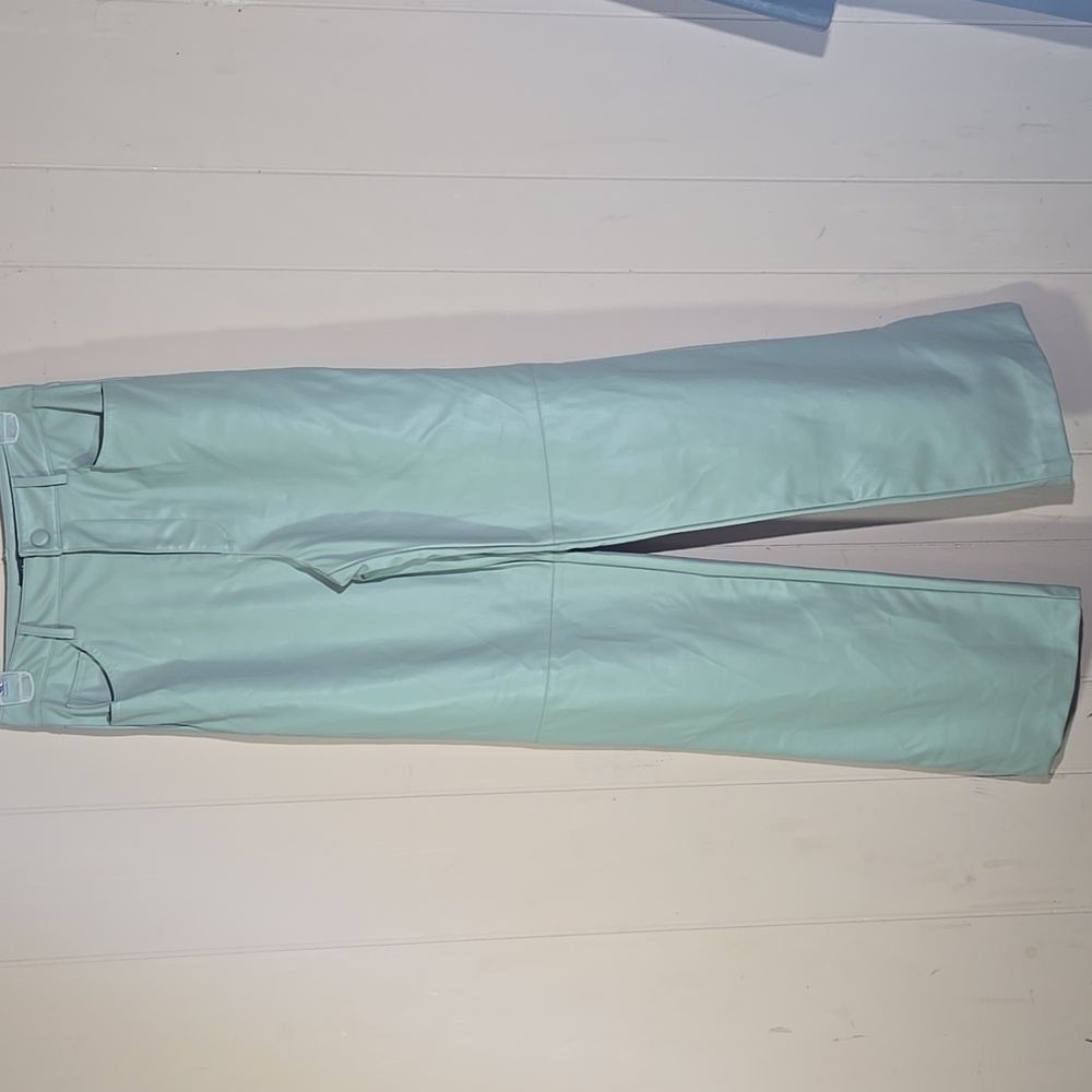 Zara Womens Mint Green Faux Leather Wide Legs Pants Size Small